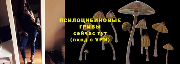 стафф Нягань