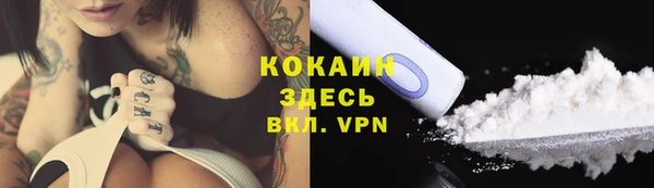 PSILOCYBIN Нязепетровск